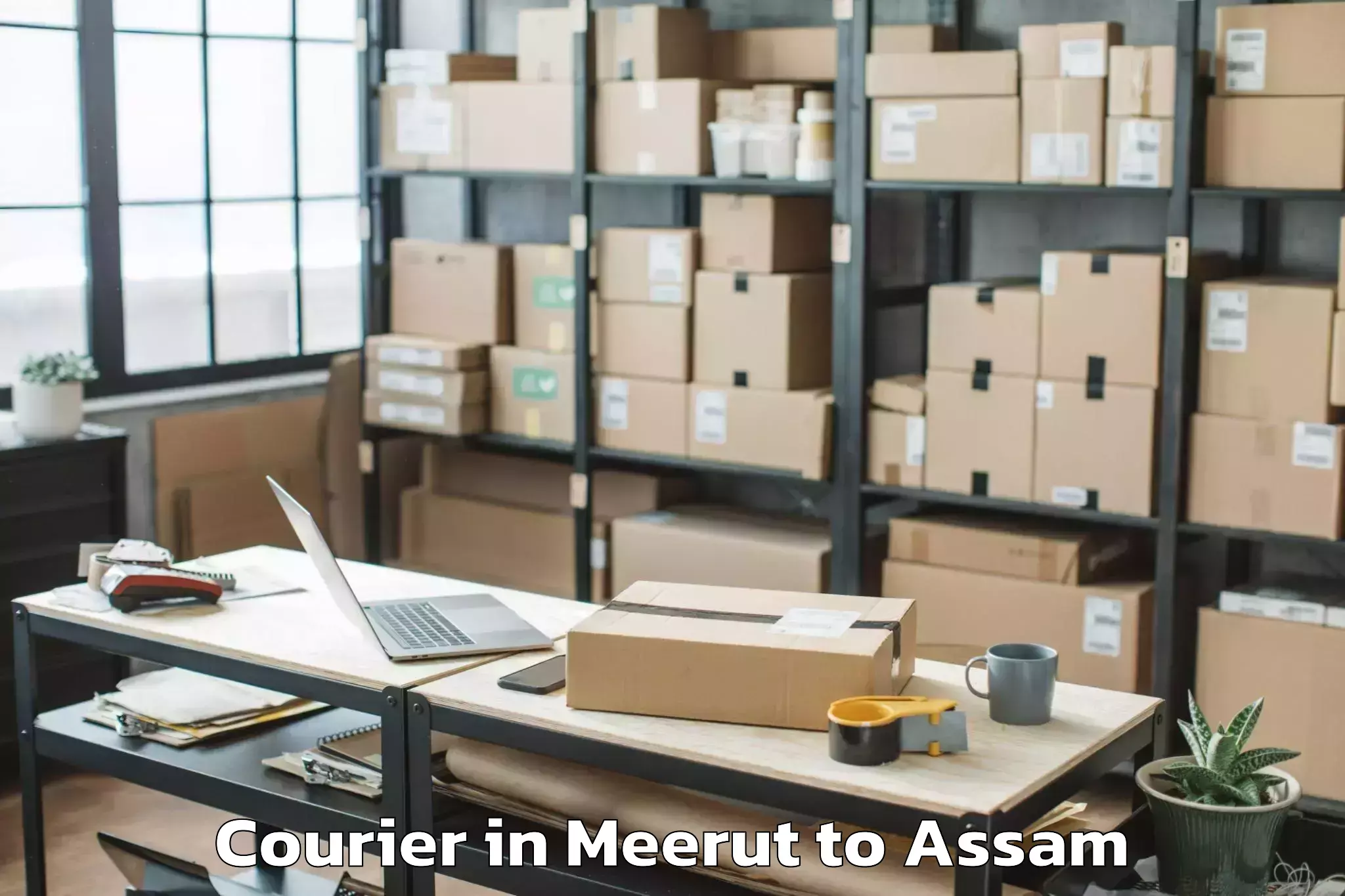 Efficient Meerut to Bajali Pt Courier